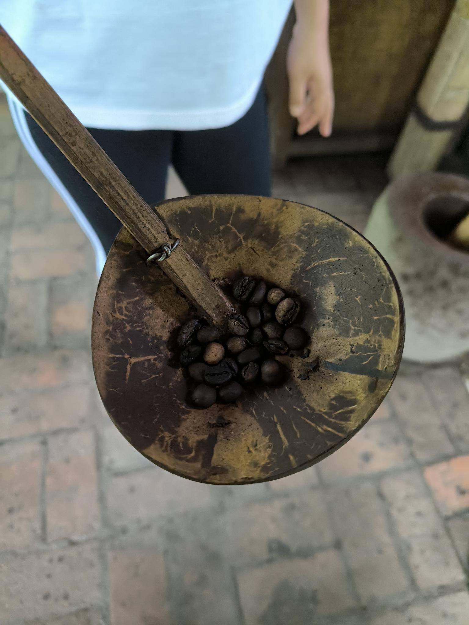 ジャコウネココーヒー「Kopi Luwak」を堪能【知りたい！現地の暮らし】